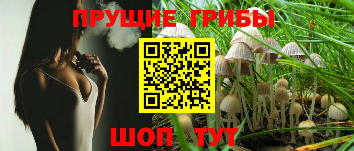 Псилоцибиновые грибы прущие грибы Лянтор