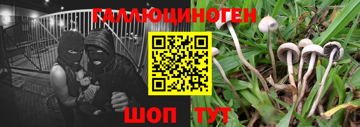Лянтор  Псилоцибиновые грибы ЛСД  Вход с VPN 